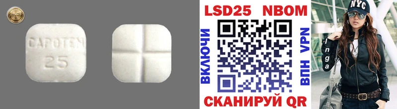 Купить закладки  Петушки  LSD-25 экстази ecstasy 